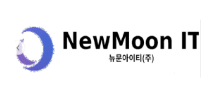 뉴문아이티